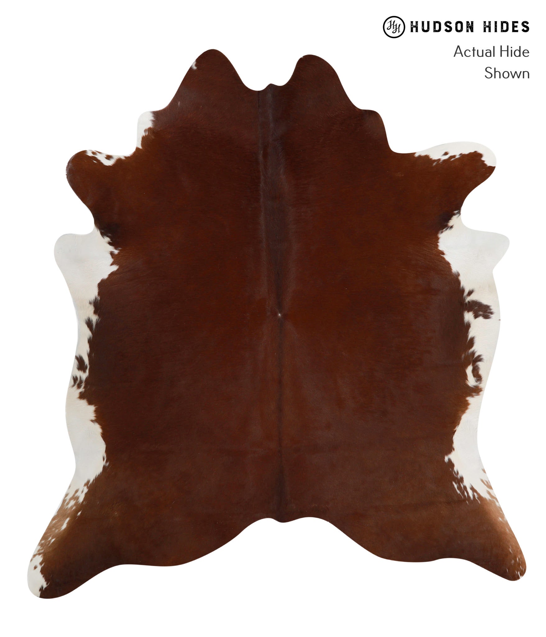 Brown and White Regular XLarge Brazilian Cowhide Rug 7'0"H x 6'5"W 8