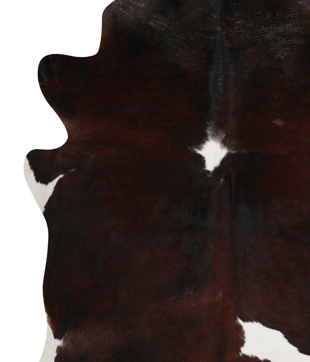 Chocolate and White X-Large Brazilian Cowhide Rug 7'1"H x 6'0"W #84742