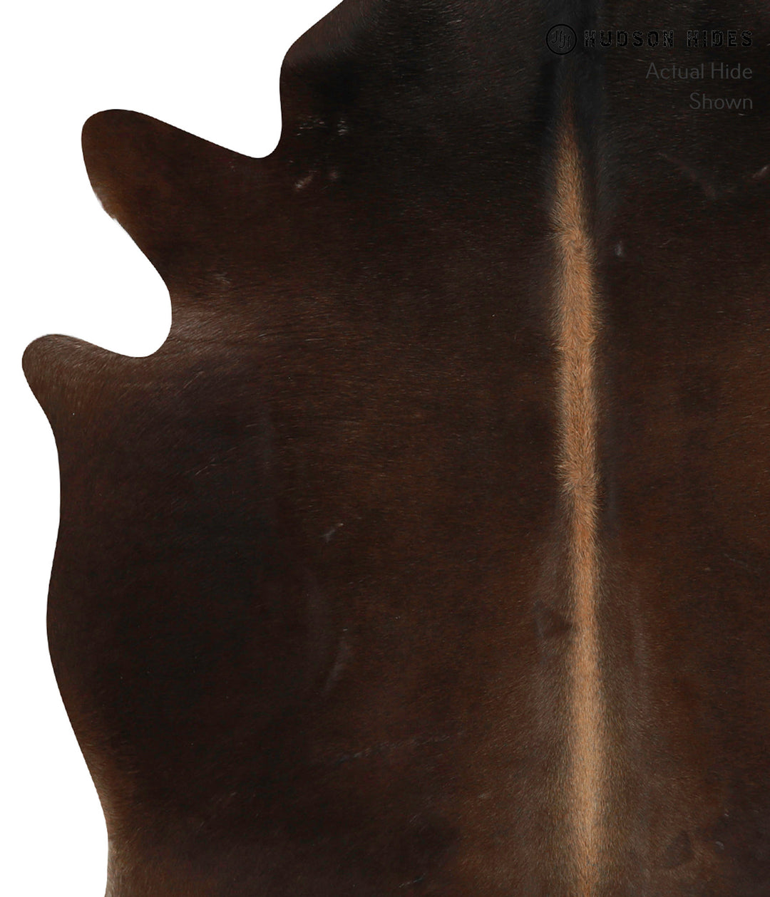 Chocolate Large Brazilian Cowhide Rug 6'8"H x 5'7"W #84889 by Hudson H