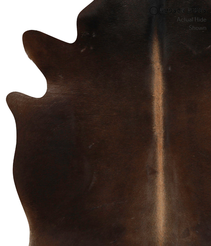 Chocolate Large Brazilian Cowhide Rug 6'8"H x 5'7"W #84889 by Hudson Hides