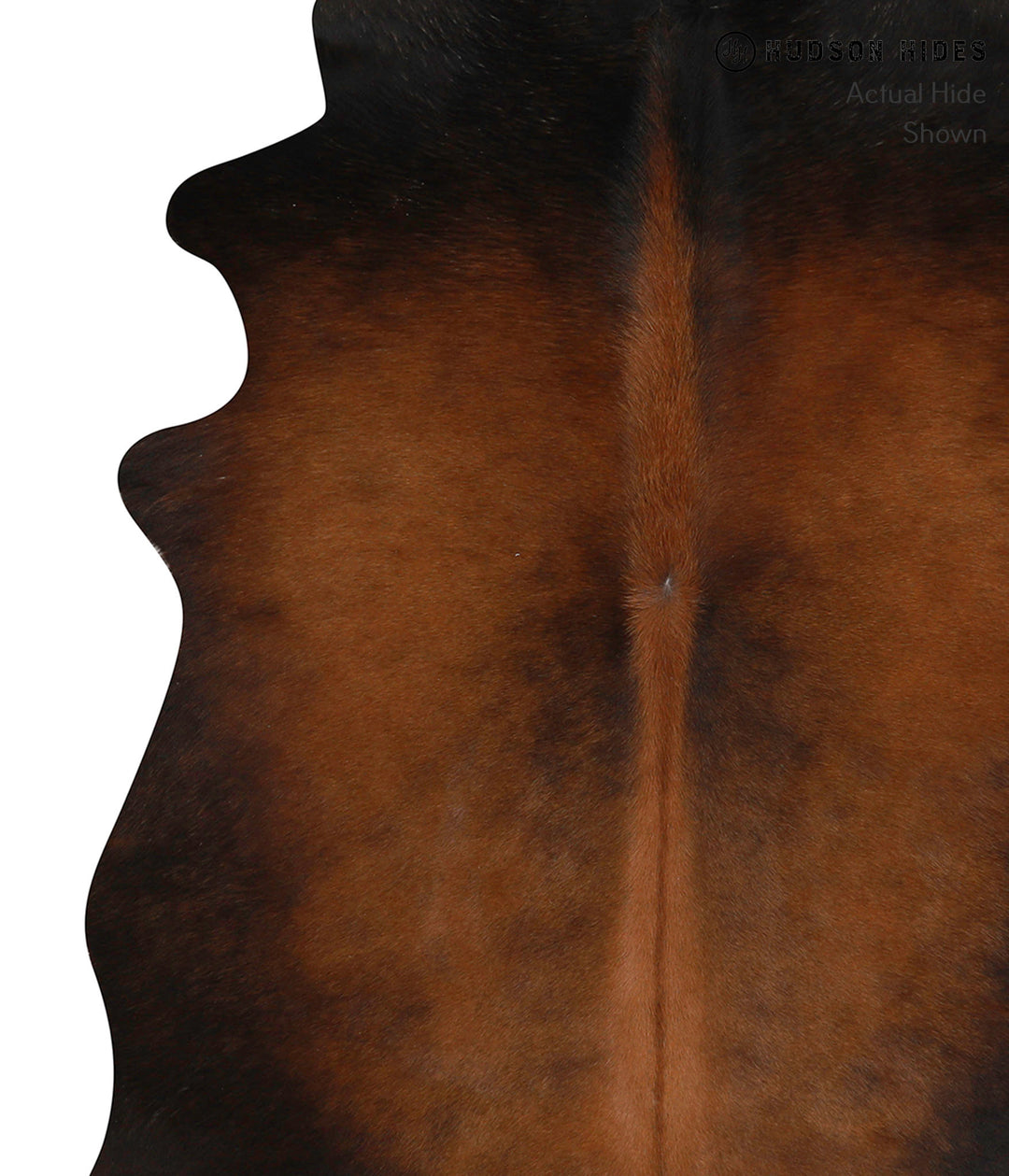 Chocolate Large Brazilian Cowhide Rug 6'6"H x 6'0"W #84902 by Hudson H
