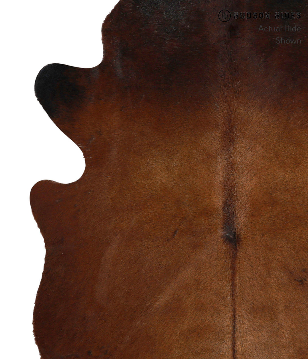 Chocolate Large Brazilian Cowhide Rug 6'6"H x 5'7"W #85255 by Hudson H