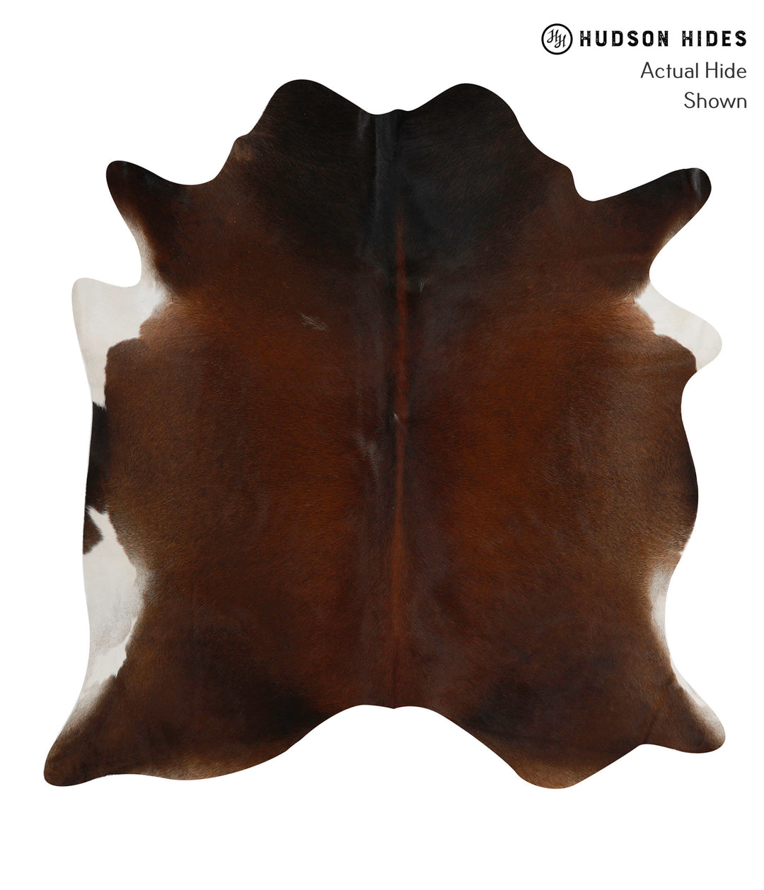 Chocolate Large Brazilian Cowhide Rug 6'4"H x 6'1"W #85373 by Hudson H