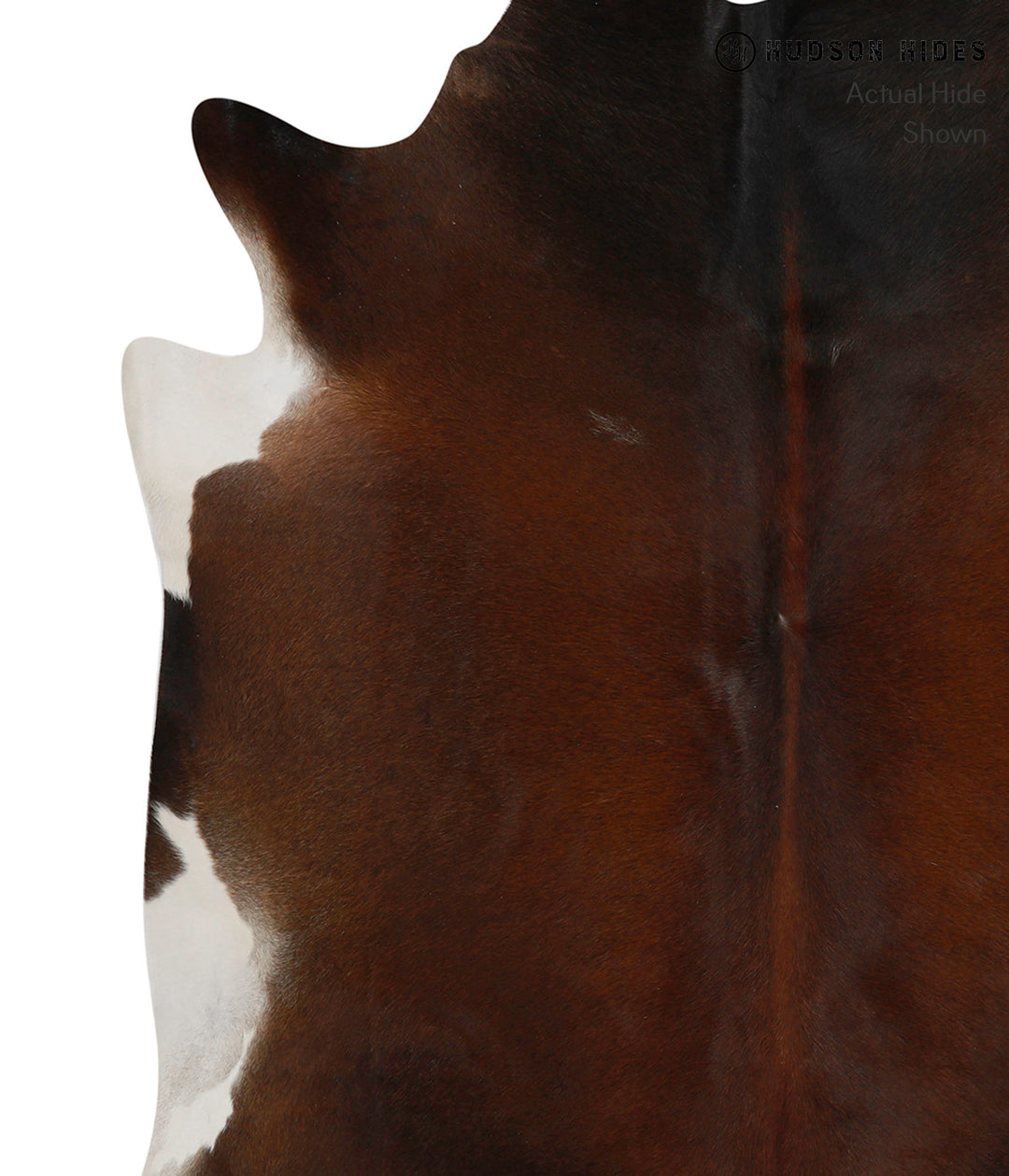 Chocolate Large Brazilian Cowhide Rug 6'4"H x 6'1"W #85373 by Hudson H