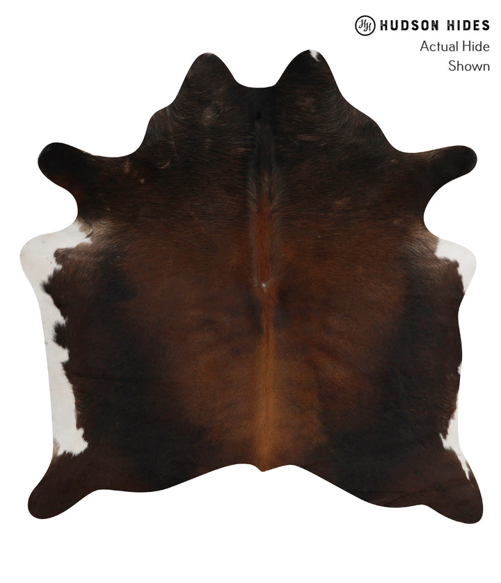 Chocolate Large Brazilian Cowhide Rug 5'8"H x 5'7"W #85492 by Hudson Hides