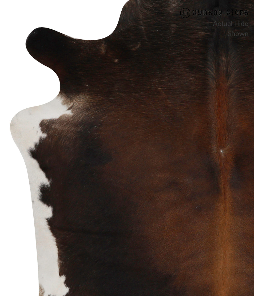 Chocolate Large Brazilian Cowhide Rug 5'8"H x 5'7"W #85492 by Hudson H