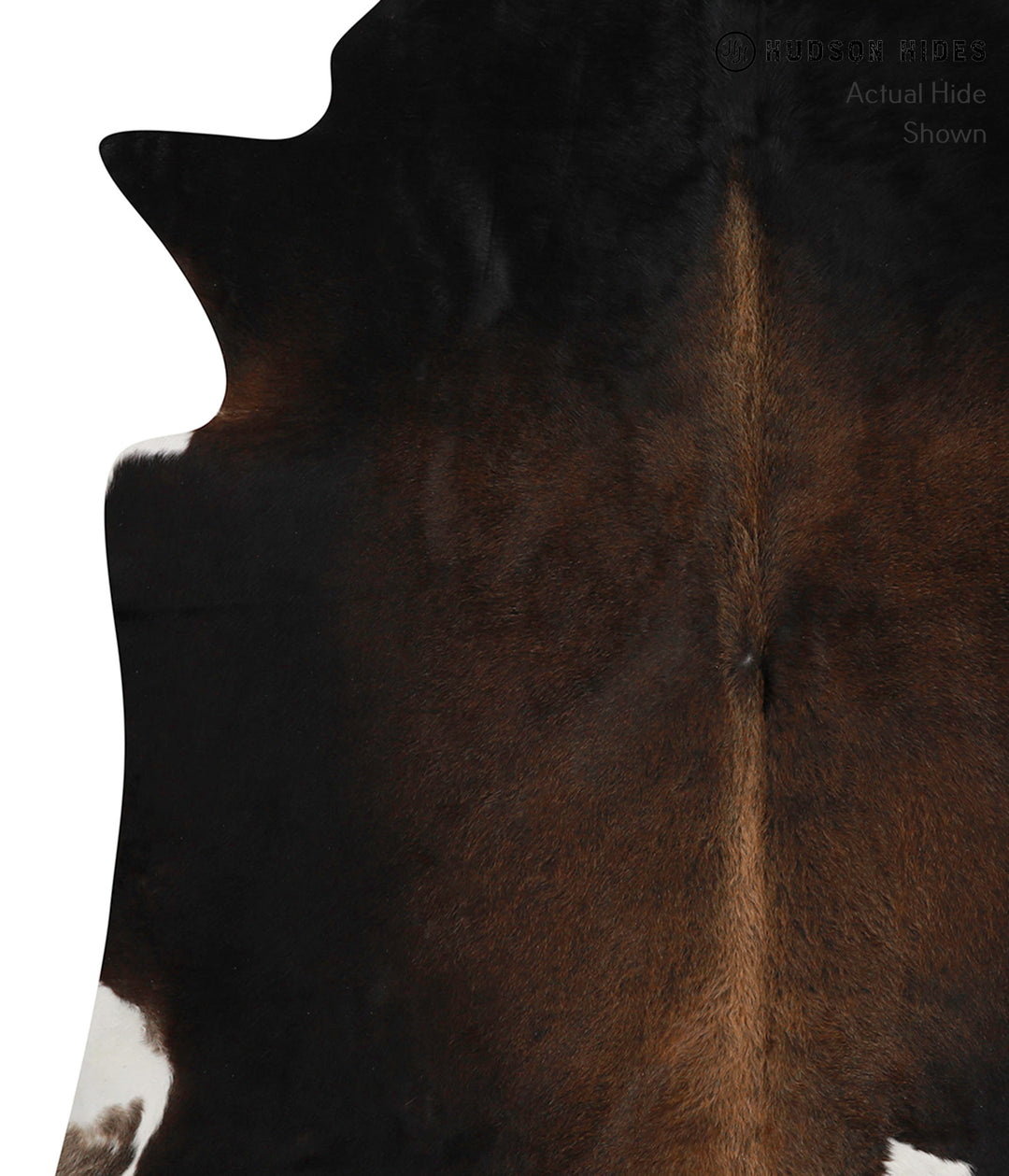 Chocolate X-Large Brazilian Cowhide Rug 6'8"H x 6'5"W #85634 by Hudson