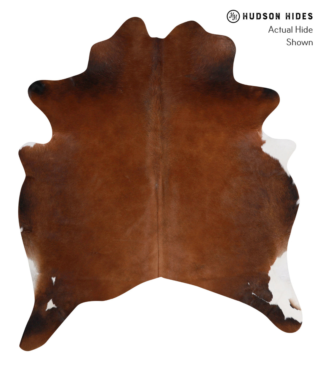 Chocolate Large Brazilian Cowhide Rug 6'6"H x 5'6"W #85903 by Hudson H