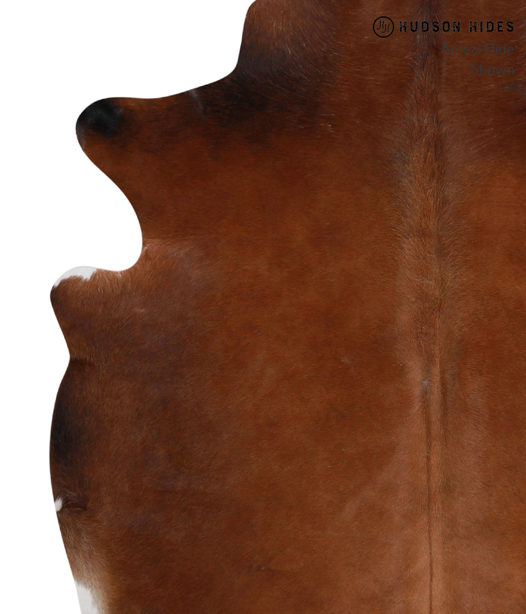 Chocolate Large Brazilian Cowhide Rug 6'6"H x 5'6"W #85903 by Hudson H