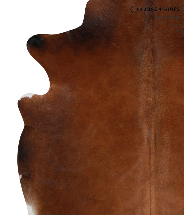 Chocolate Large Brazilian Cowhide Rug 6'6"H x 5'6"W #85903 by Hudson Hides