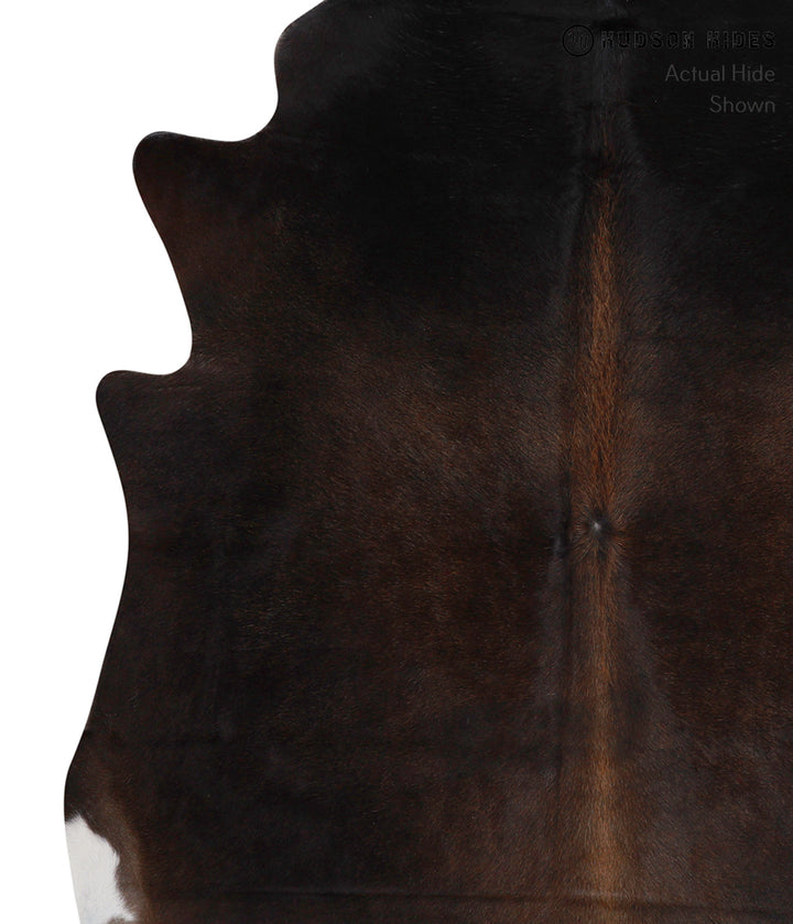Chocolate Large Brazilian Cowhide Rug 6'2"H x 5'9"W #85961 by Hudson Hides