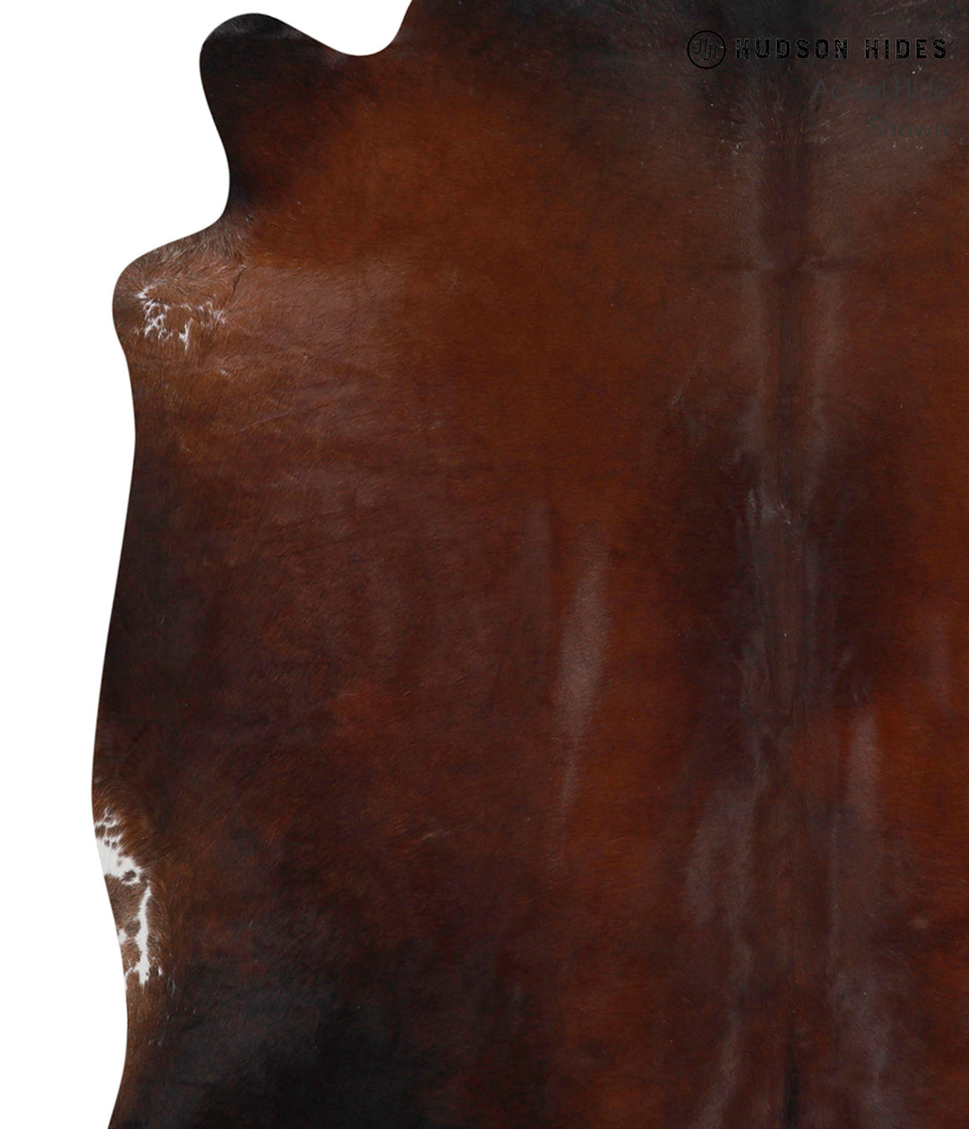 Chocolate Large Brazilian Cowhide Rug 5'9"H x 5'5"W #86064 by Hudson H