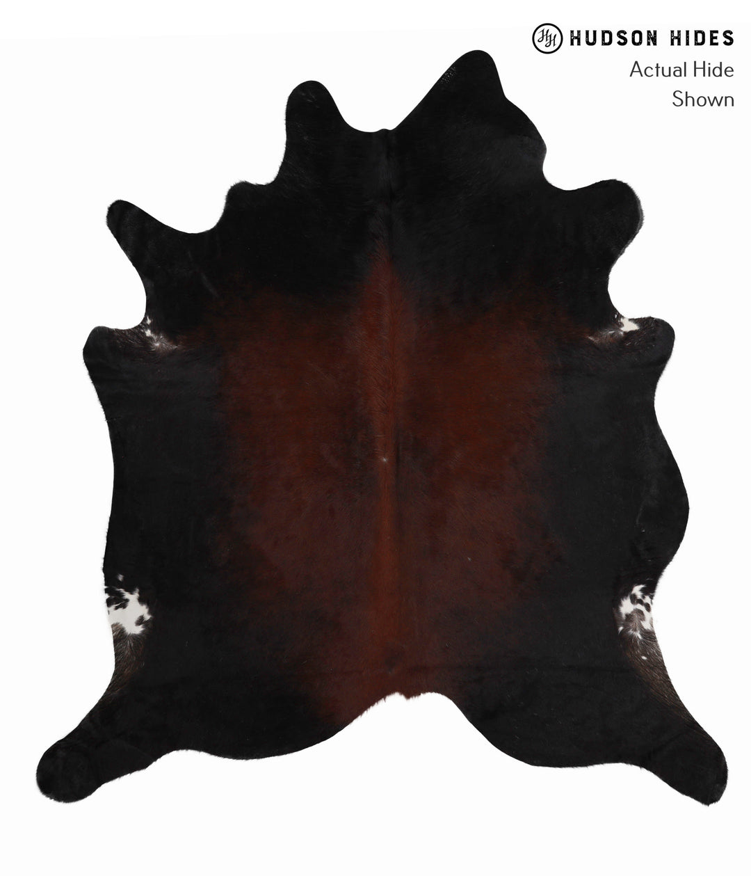 Chocolate XX-Large Brazilian Cowhide Rug 7'10"H x 7'2"W #86097 by Huds