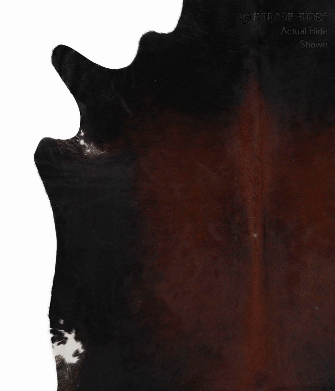 Chocolate XX-Large Brazilian Cowhide Rug 7'10"H x 7'2"W #86097 by Huds