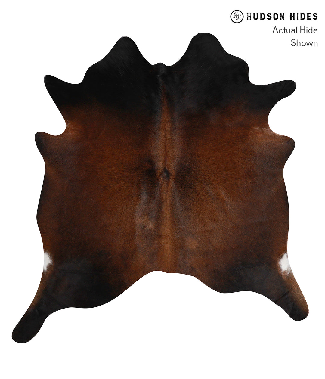 Chocolate Large Brazilian Cowhide Rug 6'4"H x 6'0"W #86372 by Hudson H