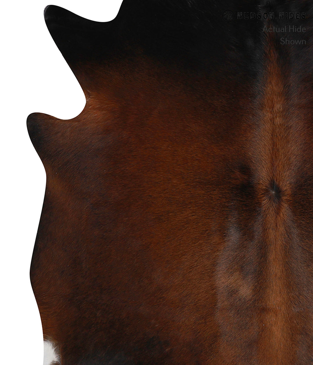 Chocolate Large Brazilian Cowhide Rug 6'4"H x 6'0"W #86372 by Hudson H