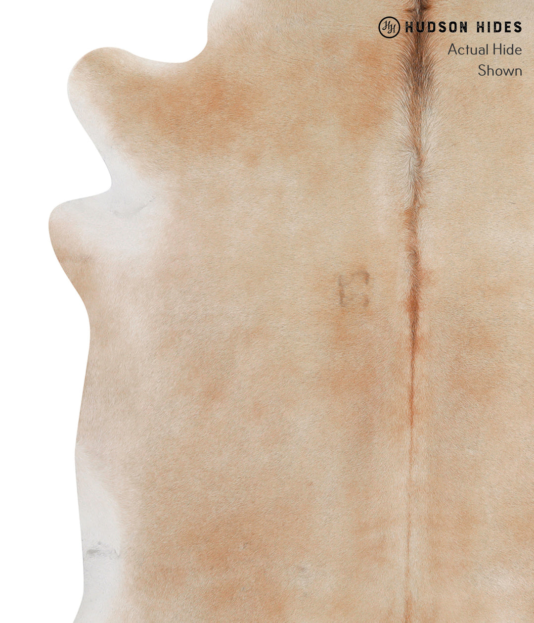 Beige X-Large Brazilian Cowhide Rug 6'7"H x 6'2"W #86416 by Hudson Hid