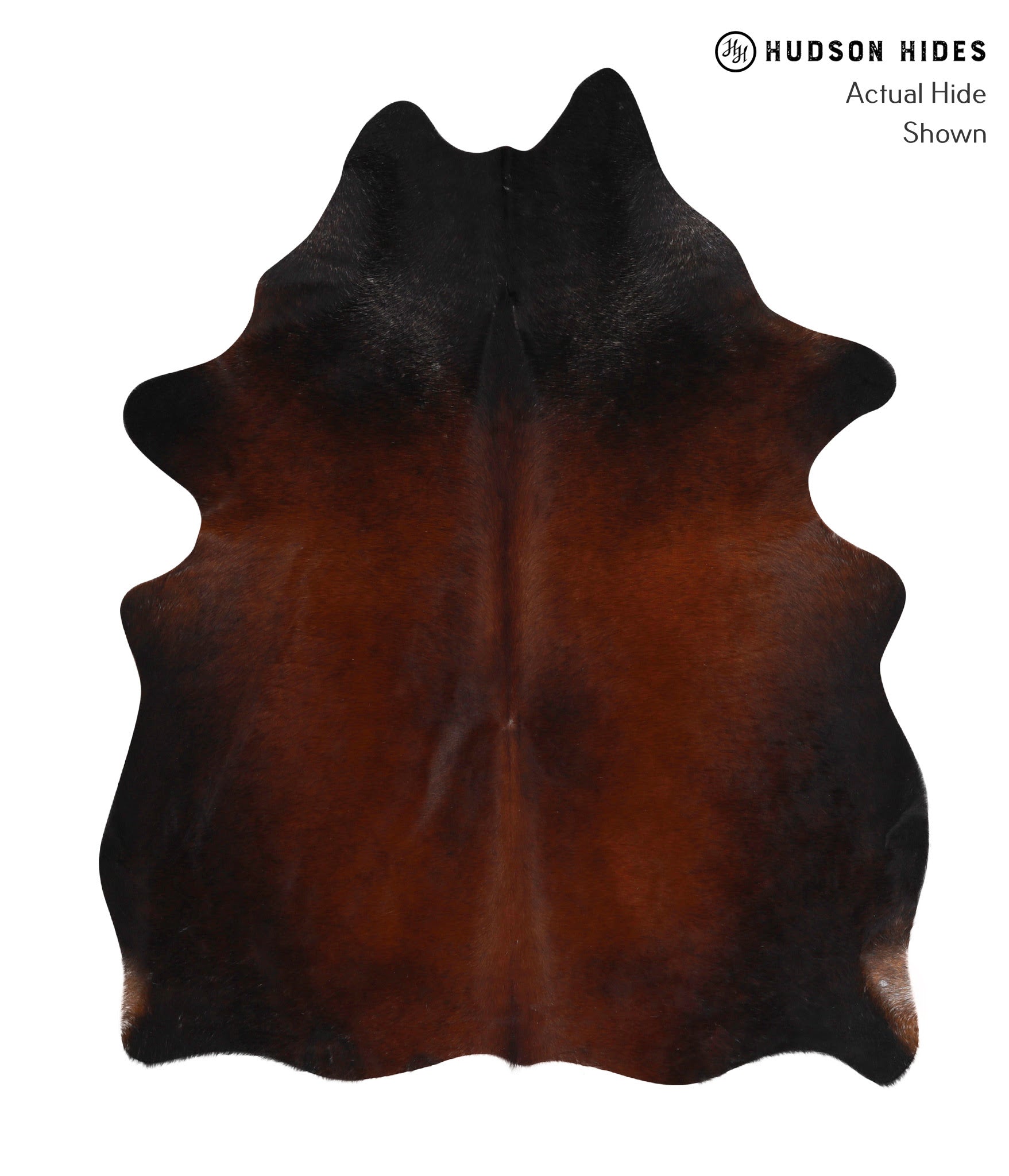 Brown with Red Large Brazilian Cowhide Rug 6'7"H x 5'4"W 86420 by Hud