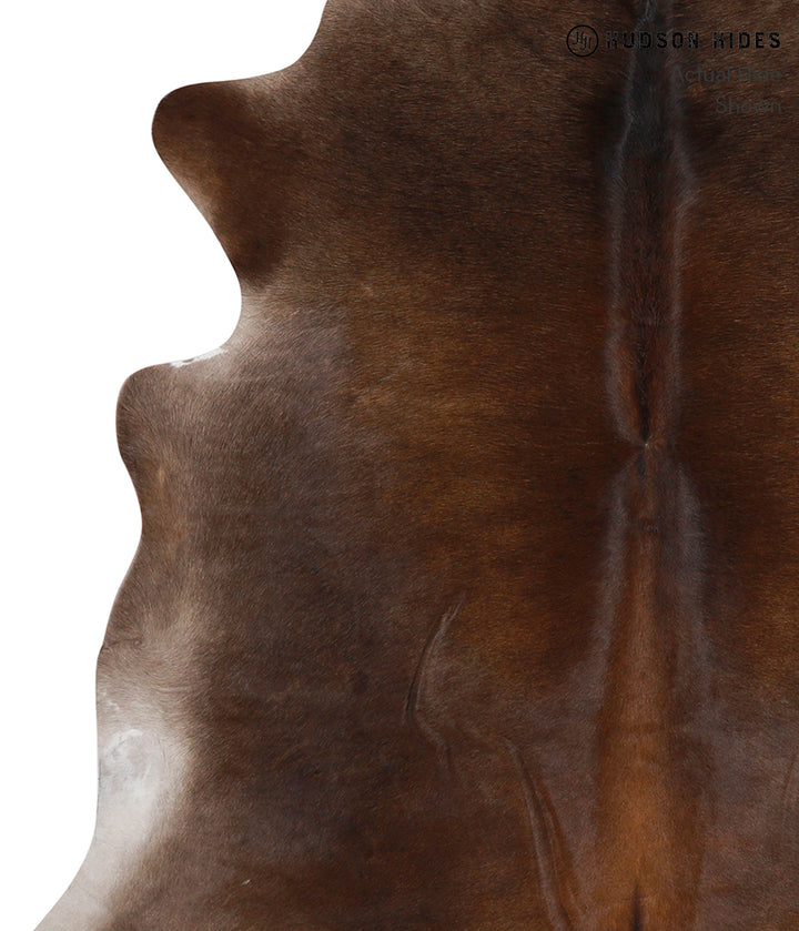 Chocolate X-Large Brazilian Cowhide Rug 6'8"H x 6'7"W #86436 by Hudson Hides