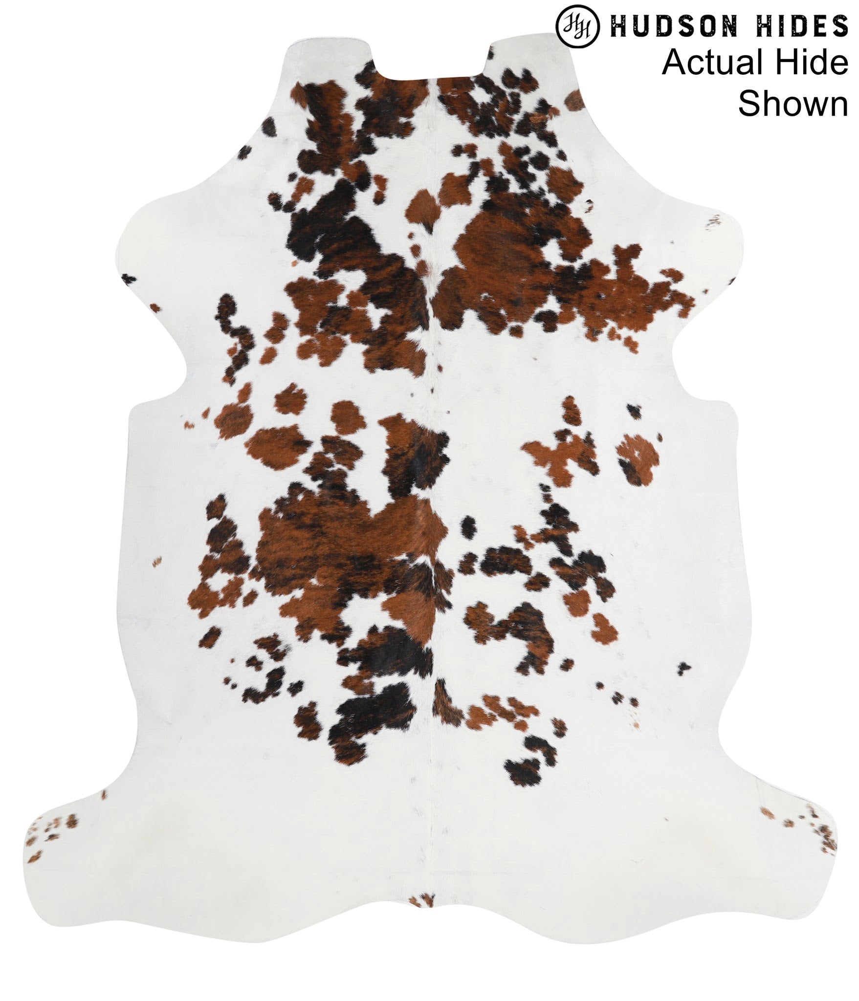 Tricolor XLarge European Cowhide Rug 7'3"H x 6'6"W 94169 by Hudson H