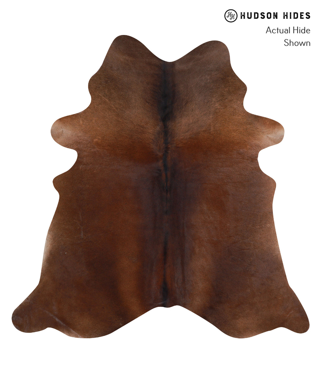 Chocolate Large Brazilian Cowhide Rug 6'1"H x 6'0"W #A3330 by Hudson H