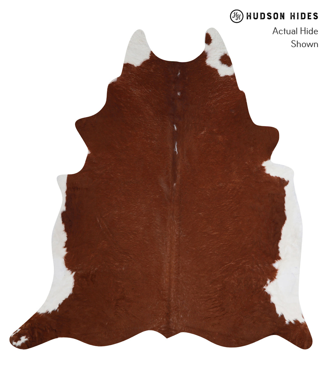 Brown and White Regular XX-Large Brazilian Cowhide Rug 7'9"H x 7'3"W #