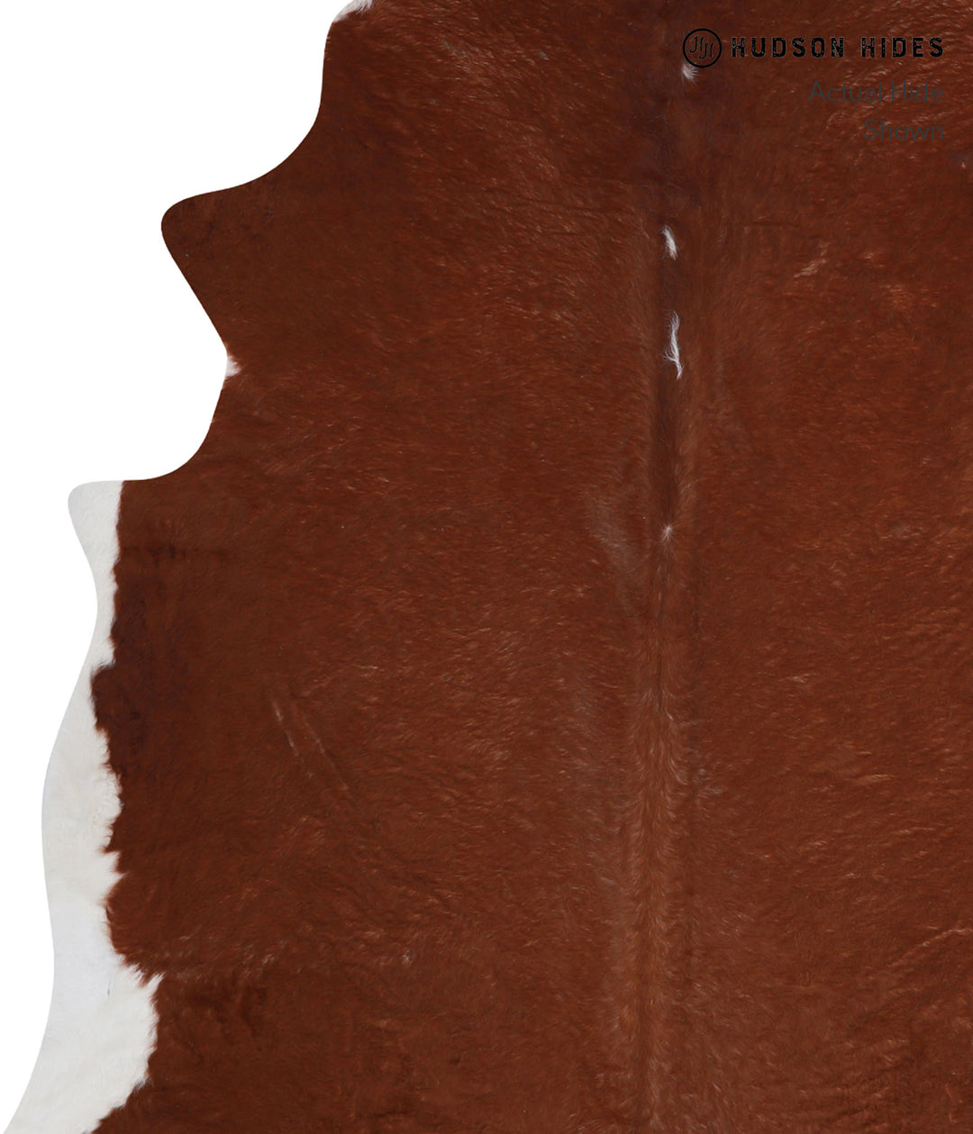 Brown and White Regular XX-Large Brazilian Cowhide Rug 7'9"H x 7'3"W #