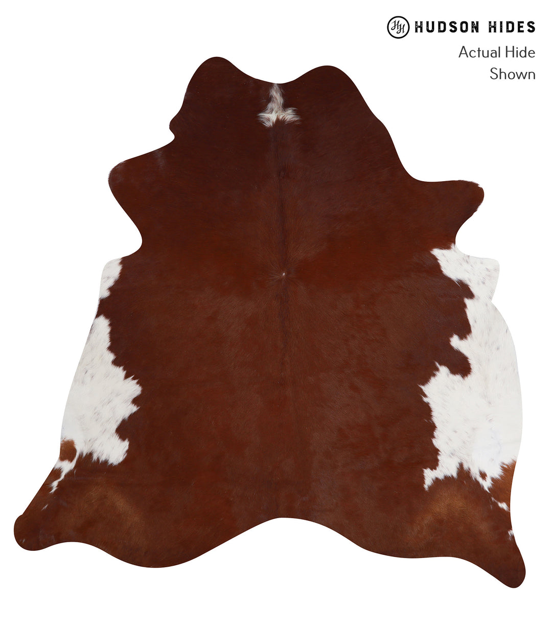 Brown and White Regular X-Large Brazilian Cowhide Rug 6'10"H x 6'7"W #