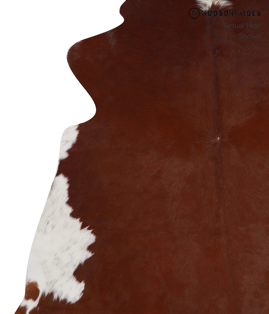 Brown and White Regular X-Large Brazilian Cowhide Rug 6'10"H x 6'7"W #