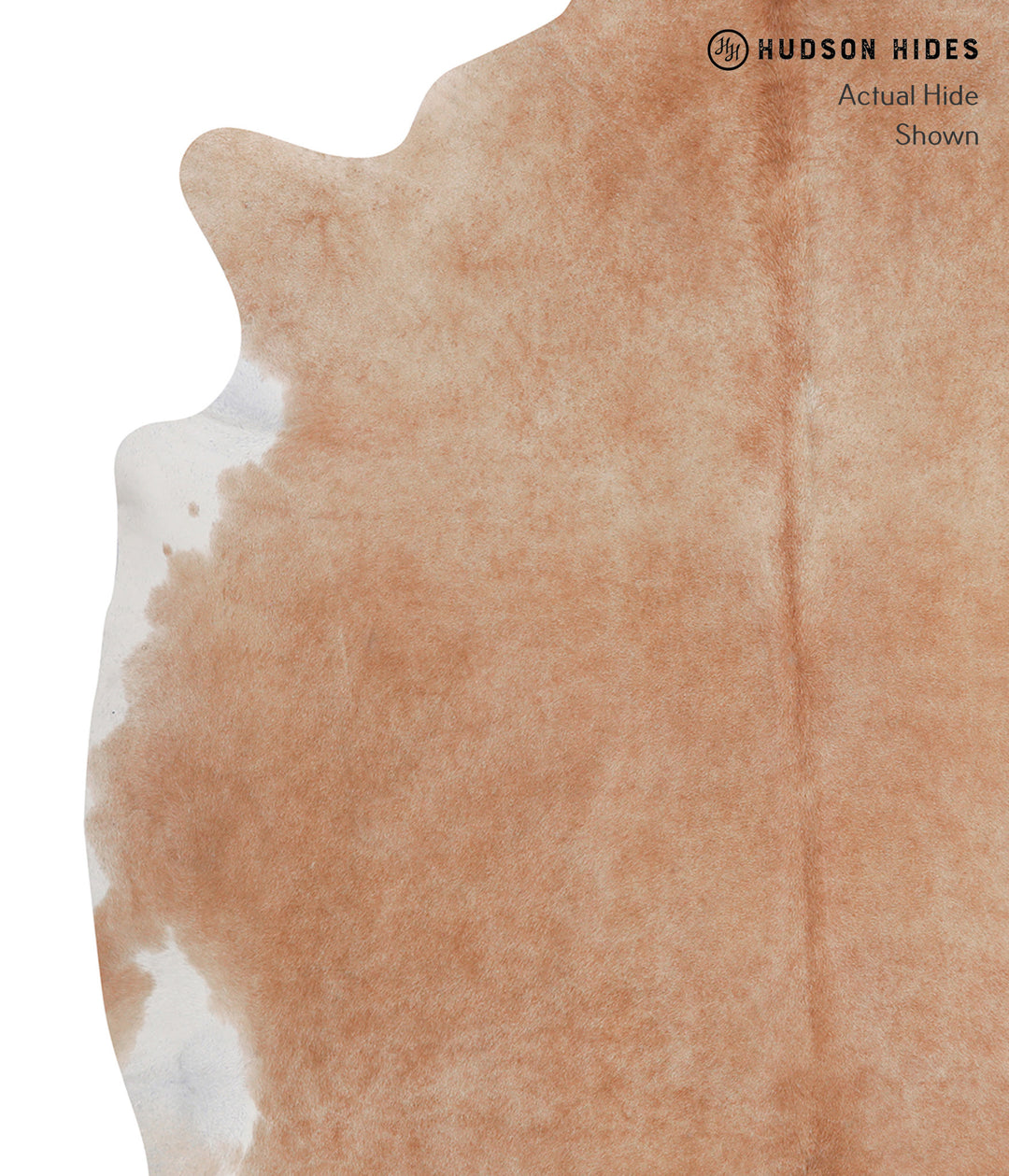 Beige XX-Large Brazilian Cowhide Rug 7'3"H x 6'11"W #A3883 by Hudson H