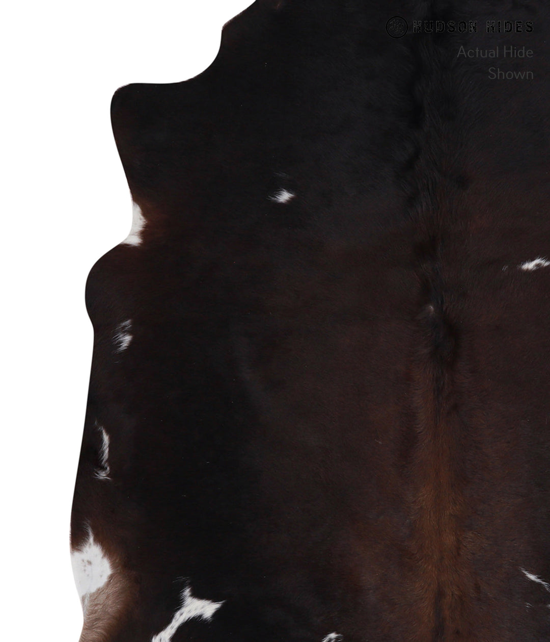 Chocolate and White Large Brazilian Cowhide Rug 5'9"H x 5'4"W #A4061 b
