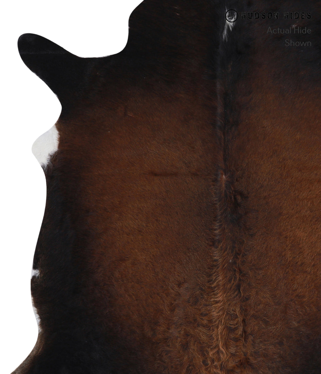Chocolate X-Large Brazilian Cowhide Rug 6'7"H x 6'6"W #A4226 by Hudson