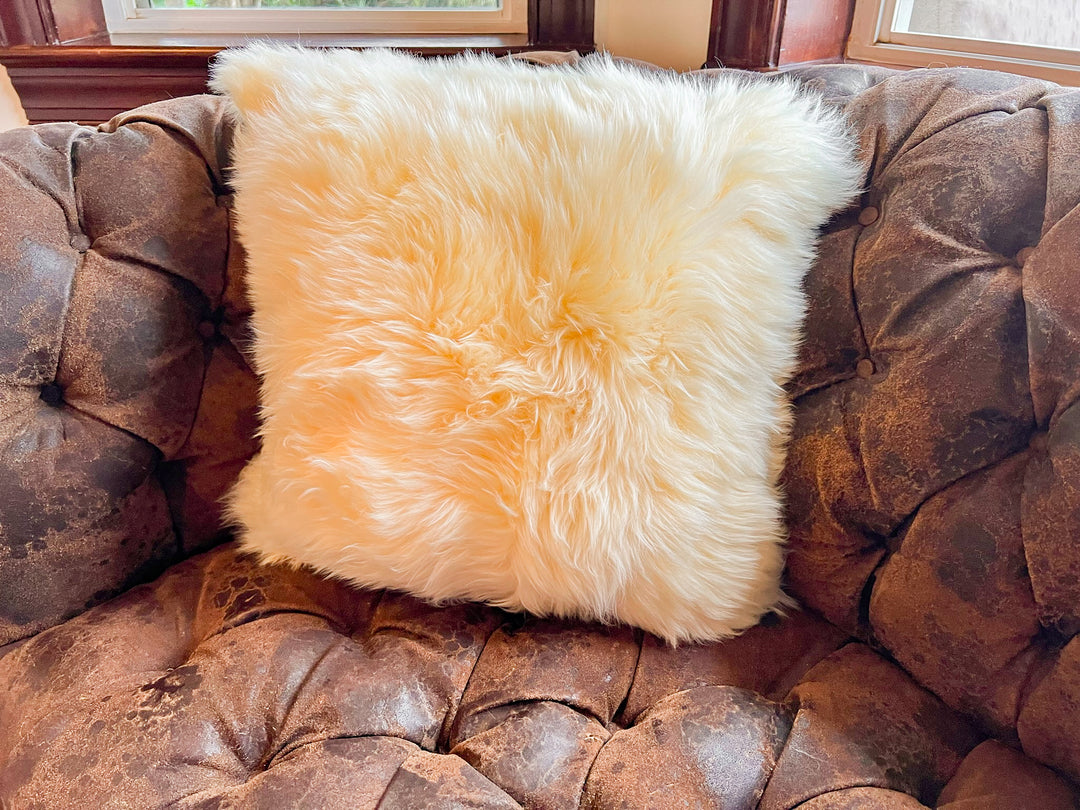 Cream New Zealand Sheepskin Pillow 16"x16" Single Sided by Hudson Hide