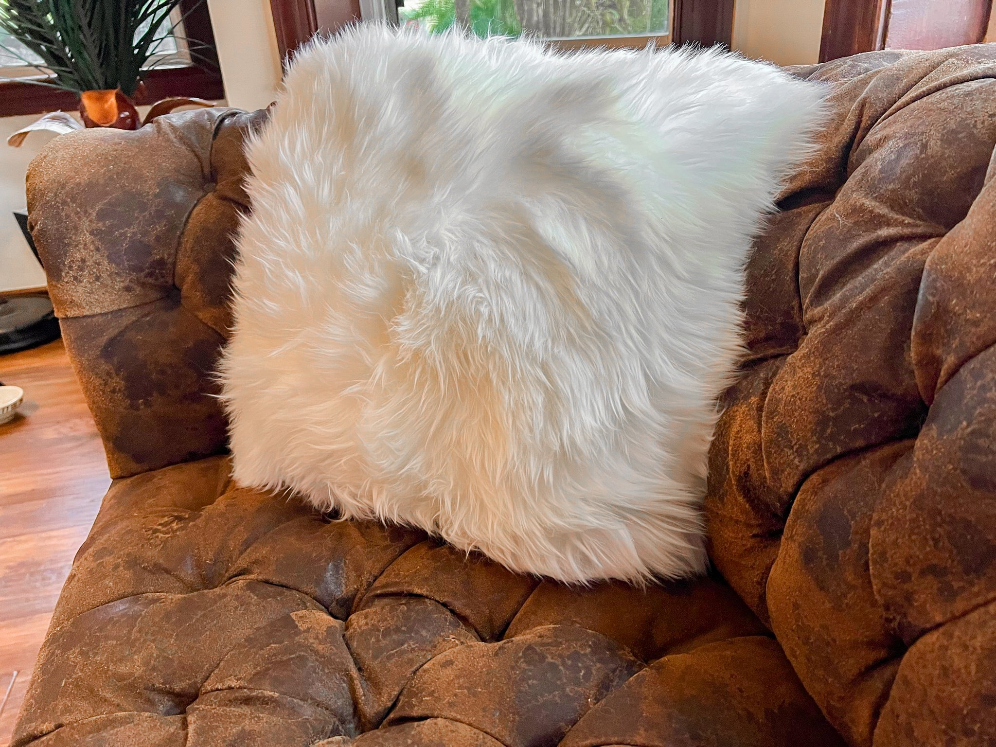 White New Zealand Sheepskin Pillow 20"x20" Single Sided by Hudson Hides