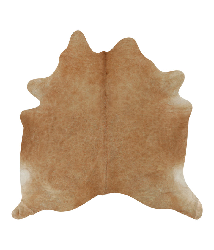 Solid Brown X-Large Brazilian Cowhide Rug 6'7"H x 6'8"W #12602 by Hudson Hides