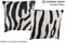 Zebra 16