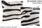 Zebra 16