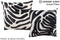 Zebra 16