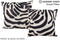 Zebra 20