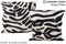 Zebra 20