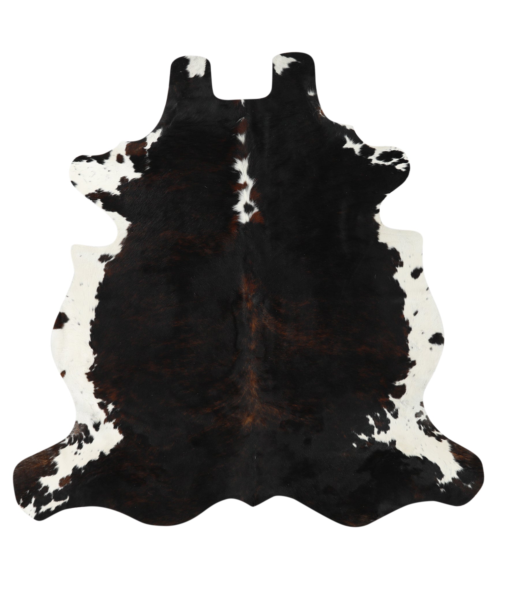 Tricolor Cowhide Rug #24191
