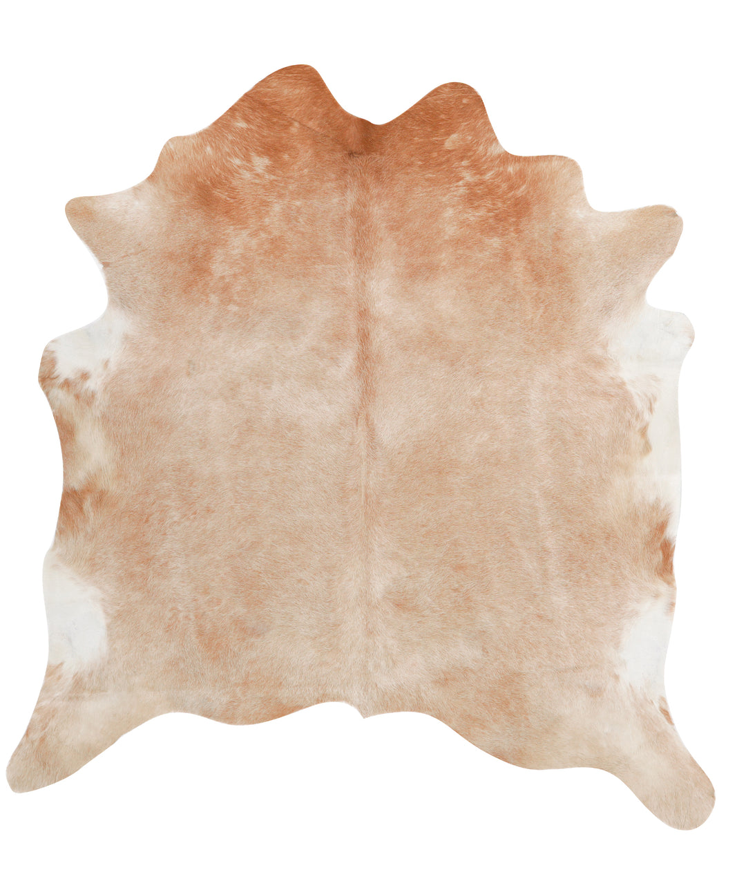Light Caramel X-Large Brazilian Cowhide Rug 6'11"H x 6'5"W #27962 by H