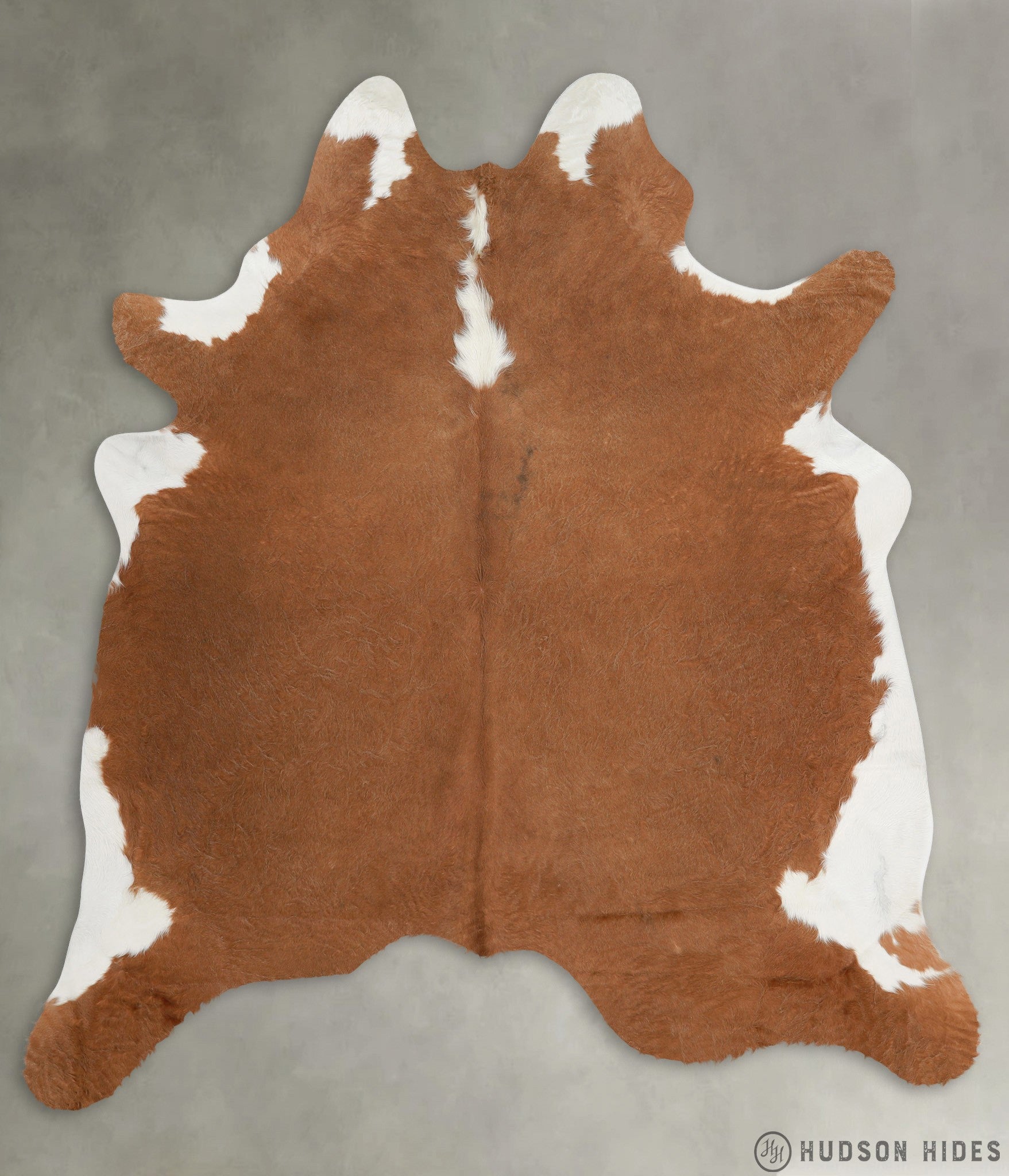 Brown and White Regular X-Large Cowhide Rug #28681