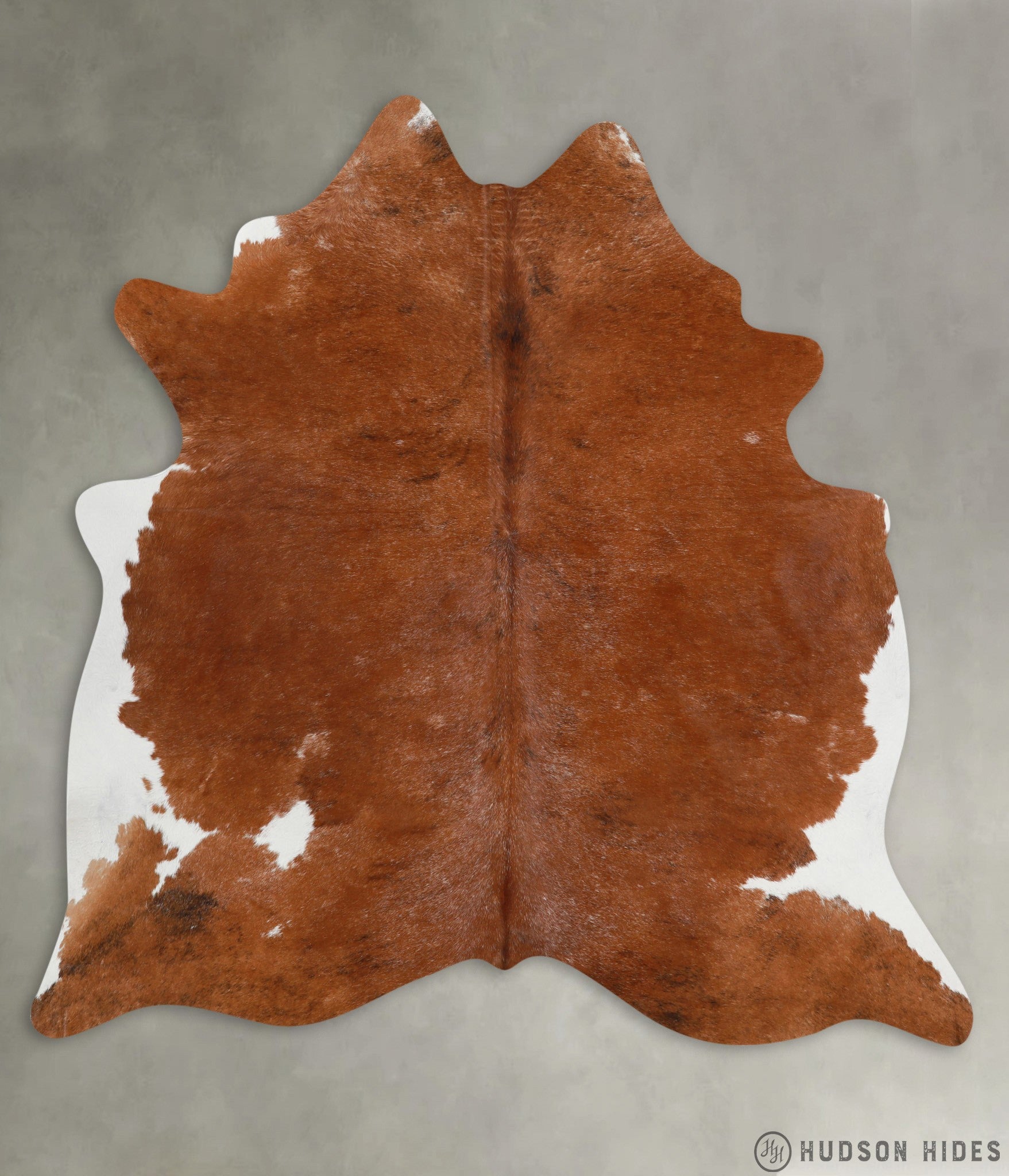 Brown and White Regular X-Large Cowhide Rug #28901