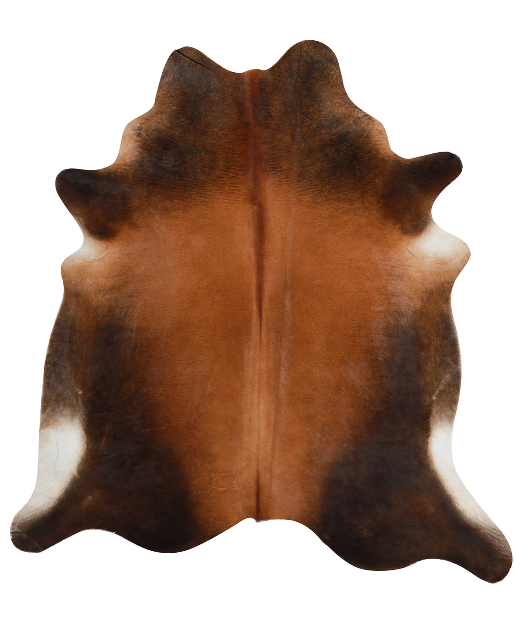 Warm Caramel X-Large Brazilian Cowhide Rug 6'10"H x 6'6"W #29196 by Hu