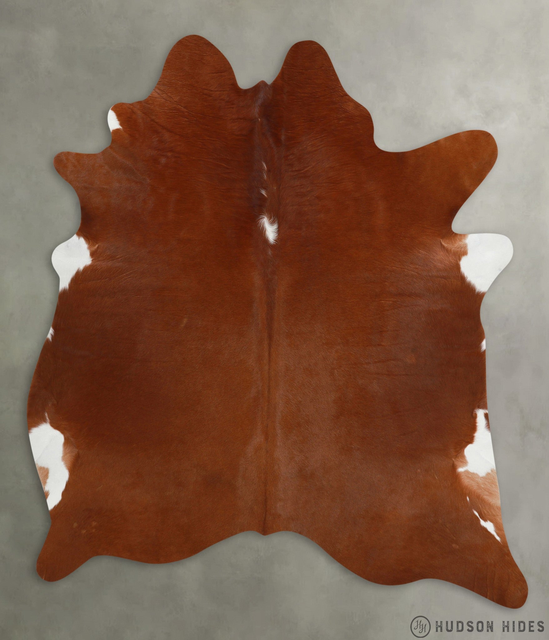Brown and White Regular X-Large Cowhide Rug #29568