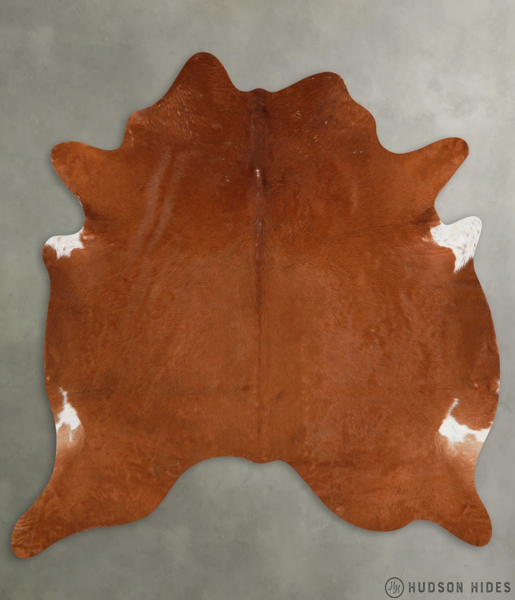 Solid Brown X-Large Cowhide Rug #30338