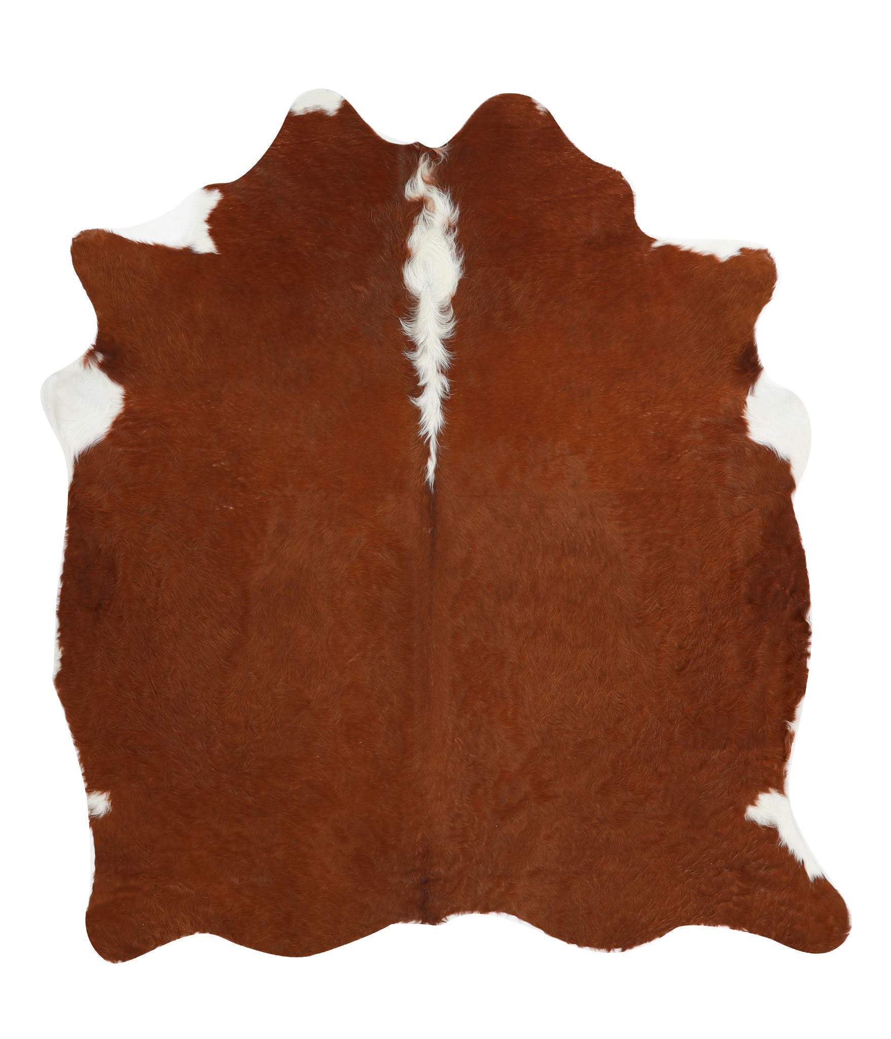 Brown and White Regular Cowhide Rug #40852