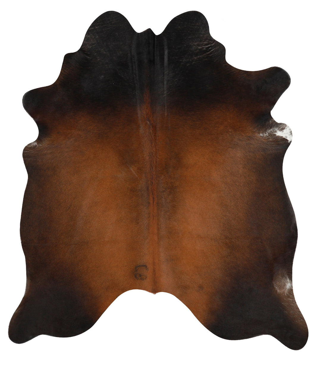 Warm Caramel X-Large Brazilian Cowhide Rug 7'1"H x 6'2"W #49641 by Hud