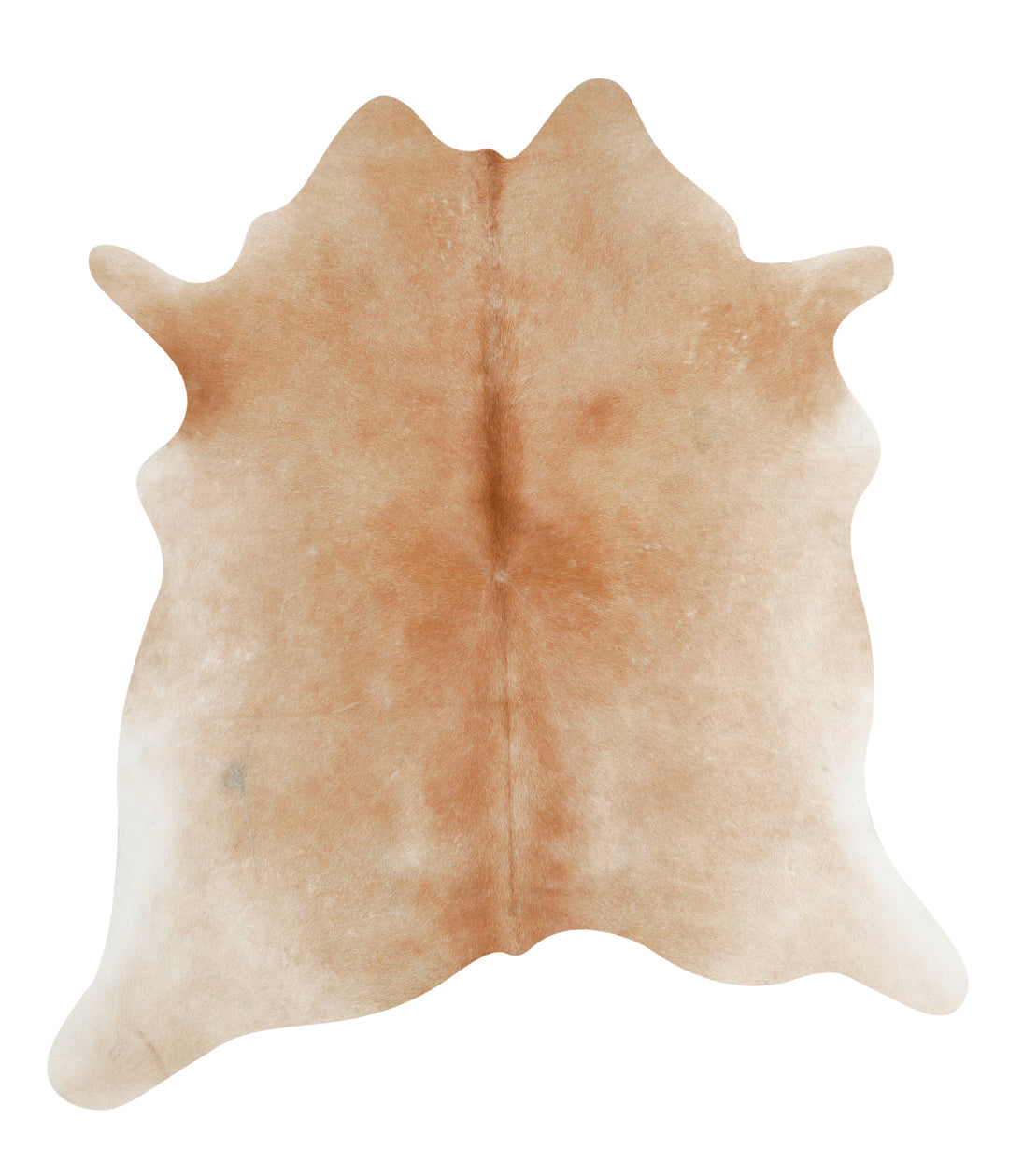 Light Caramel Large Brazilian Cowhide Rug 6'1"H x 5'5"W #61403 by Huds
